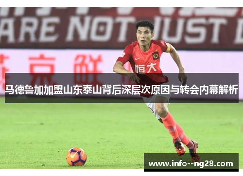 马德鲁加加盟山东泰山背后深层次原因与转会内幕解析