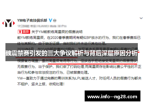 魏震禁赛引发的三大争议解析与背后深层原因分析
