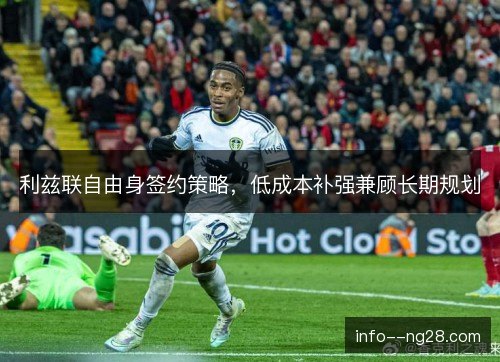 利兹联自由身签约策略,低成本补强兼顾长期规划 利兹联自由身签约策略,低成本补强兼顾长期规划
